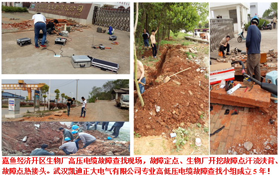 發(fā)達國家對電力試驗設(shè)備預(yù)知和選擇